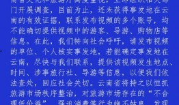 扬州导游爆料视频最新版,揭秘古城背后的秘密与故事