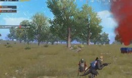 和平精英最新爆料顶瓜瓜,顶瓜瓜带你揭秘游戏最新动态